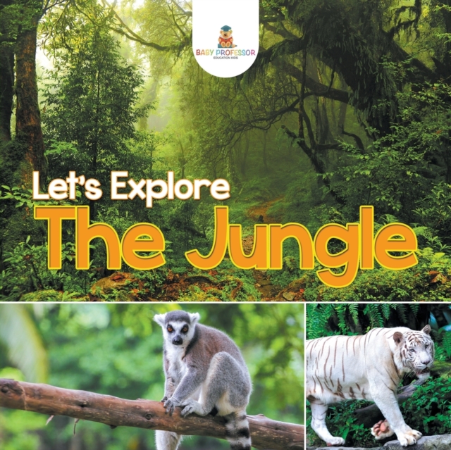Let's Explore the Jungle, Paperback / softback Book