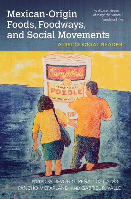 Mexican-Origin Foods, Foodways, and Social Movements : Decolonial Perspectives, Paperback / softback Book