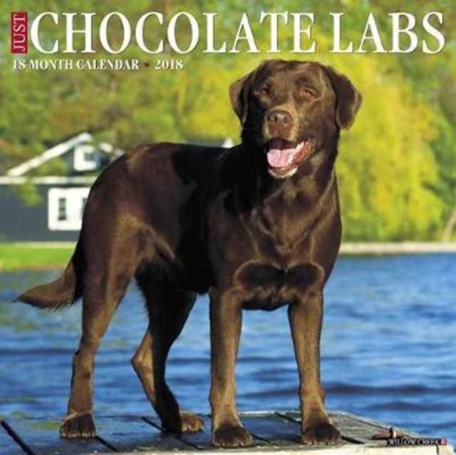 Just Chocolate Labs 2018 Wall Calendar (Dog Breed Calendar), Calendar Book