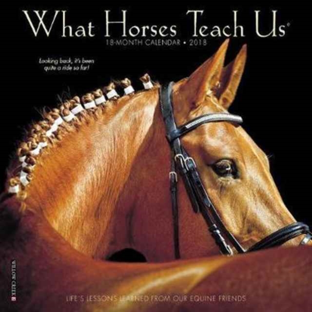 What Horses Teach Us 2018 Mini Wall Calendar, Calendar Book