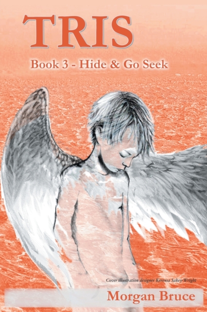Tris 3 - Hide & Go Seek, Paperback / softback Book