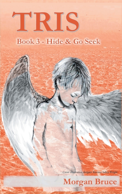 Tris 3 - Hide & Go Seek, Hardback Book