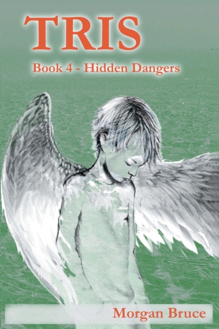 Tris 4 : Hidden Dangers, Paperback / softback Book