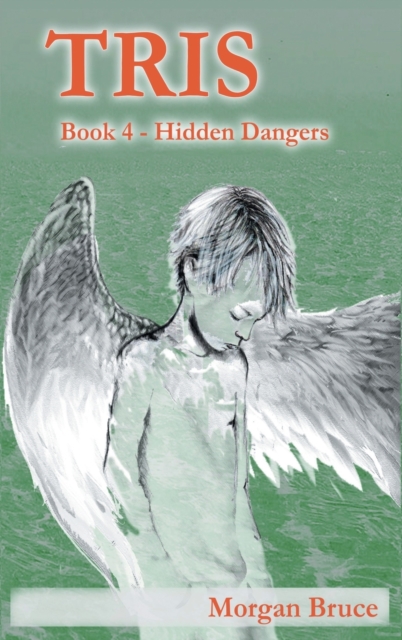 Tris 4 : Hidden Dangers, Hardback Book