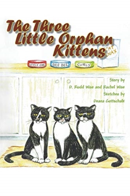 The Three Little Orphan Kittens, Paperback / softback Book