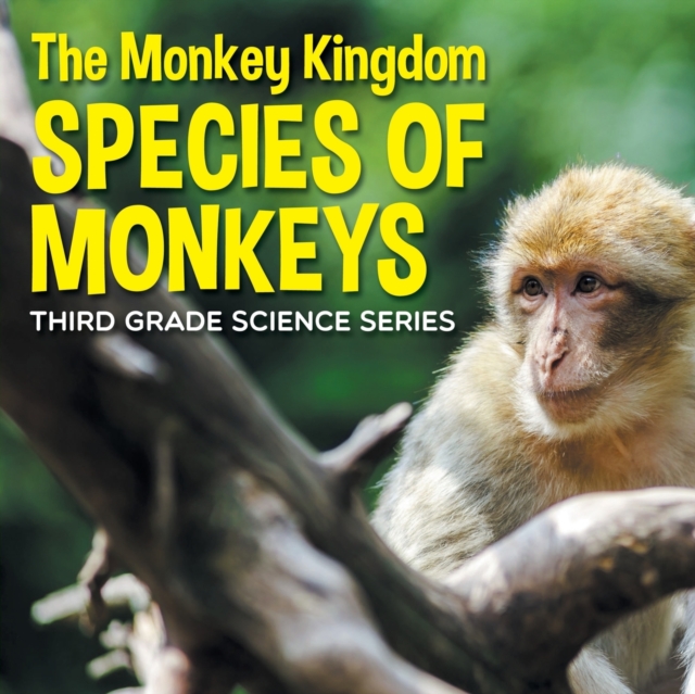 The Monkey Kingdom (Species of Monkeys) : 3rd Grade Science Series, Paperback / softback Book