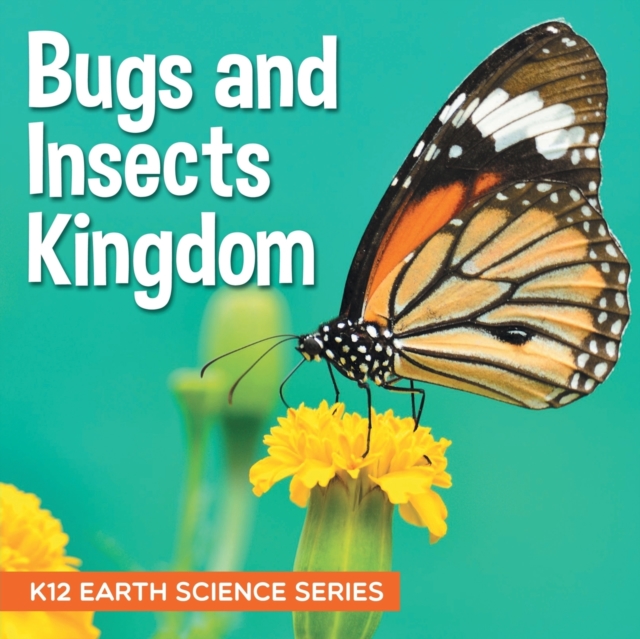 Bugs and Insects Kingdom : K12 Earth Science Series, Paperback / softback Book