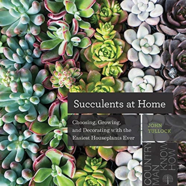 Succulents at Home : Choosing, Growing, and Decorating with the Easiest Houseplants Ever, Paperback / softback Book