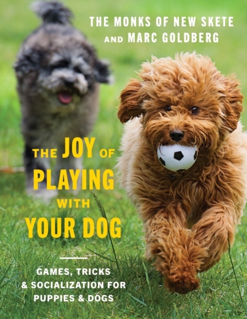 The Joy of Playing with Your Dog : Games, Tricks, & Socialization for Puppies & Dogs, Hardback Book