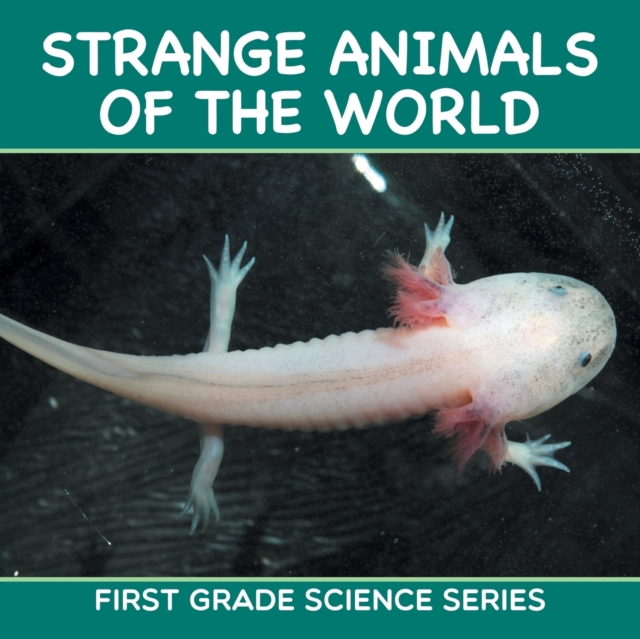 Strange Animals of the World : First Grade Science Series, Paperback / softback Book