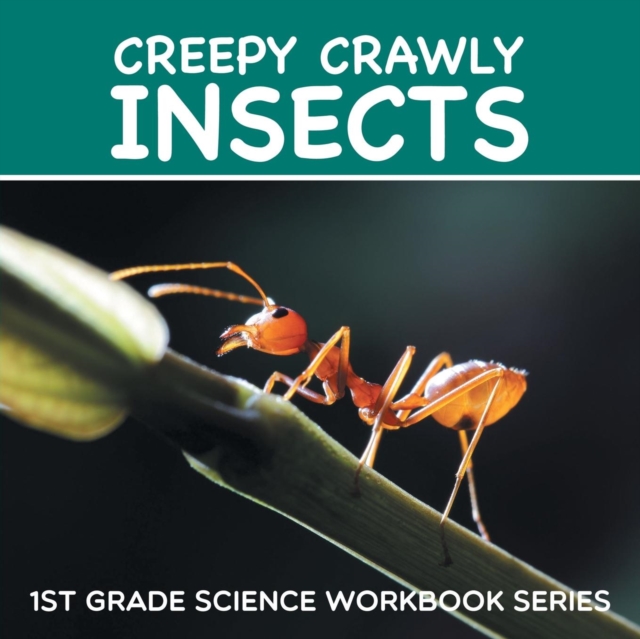 Creepy Crawly Insects : 1st Grade Science Workbook Series, Paperback / softback Book