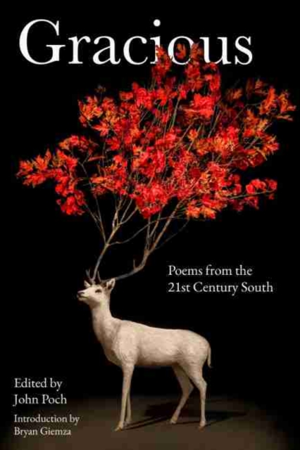 Gracious : Poems from the 21st Century South, Paperback / softback Book