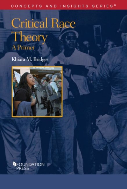 Critical Race Theory : A Primer, Paperback / softback Book