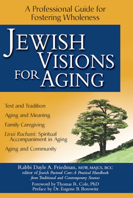 Jewish Visions for Aging : A Professional Guide for Fostering Wholeness, Paperback / softback Book