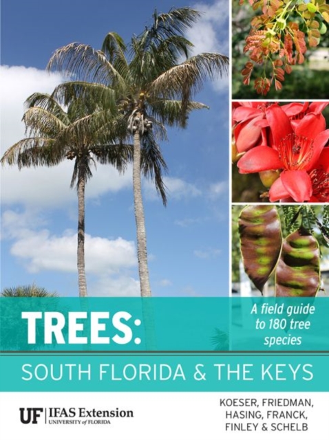 Trees : South Florida and the Keys, Hardback Book