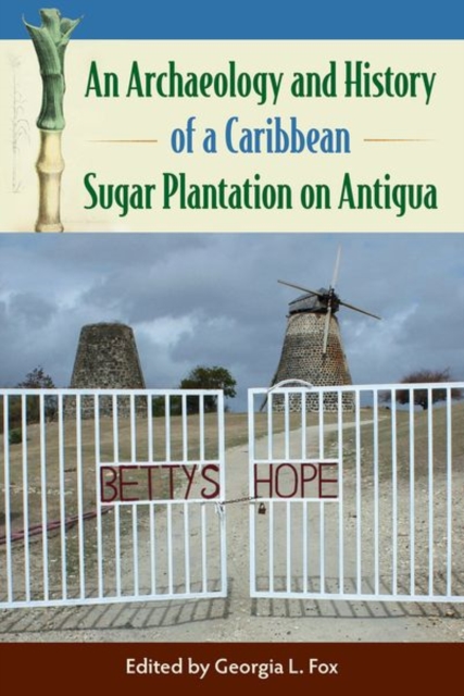 An Archaeology and History of a Caribbean Sugar Plantation on Antigua, Hardback Book