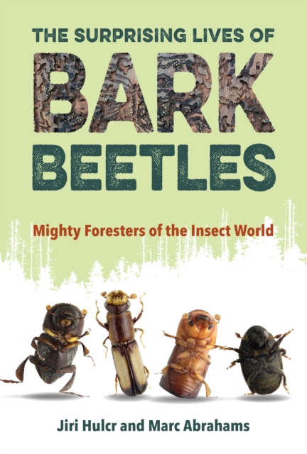 The Surprising Lives of Bark Beetles : Mighty Foresters of the Insect World, EPUB eBook