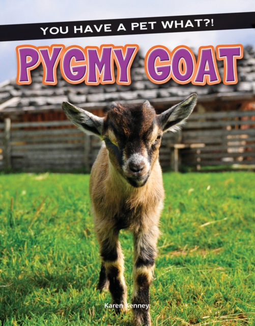 Pygmy Goat, PDF eBook