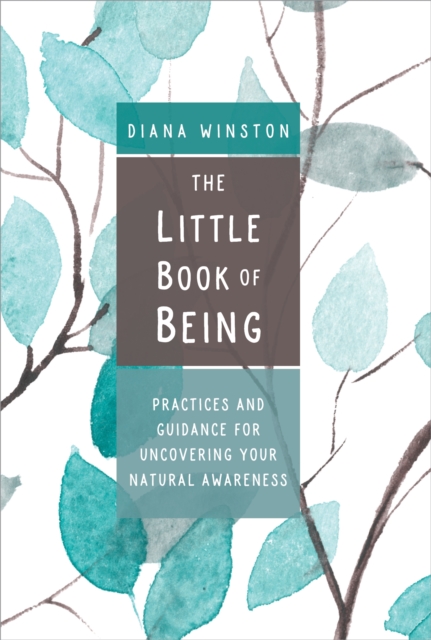 The Little Book of Being : Practices and Guidance for Uncovering Your Natural Awareness, Paperback / softback Book