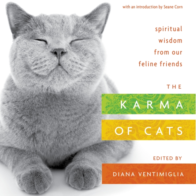 The Karma of Cats : Spiritual Wisdom from Our Feline Friends, Paperback / softback Book