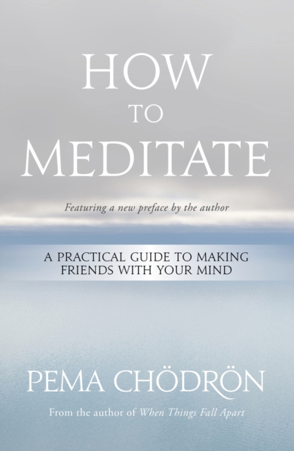 How to Meditate : A Practical Guide to Making Friends with Your Mind, Paperback / softback Book
