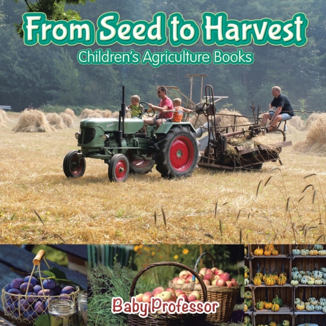 From Seed to Harvest - Children's Agriculture Books, Paperback / softback Book