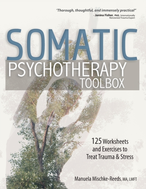 Somatic Psychotherapy Toolbox, Paperback / softback Book