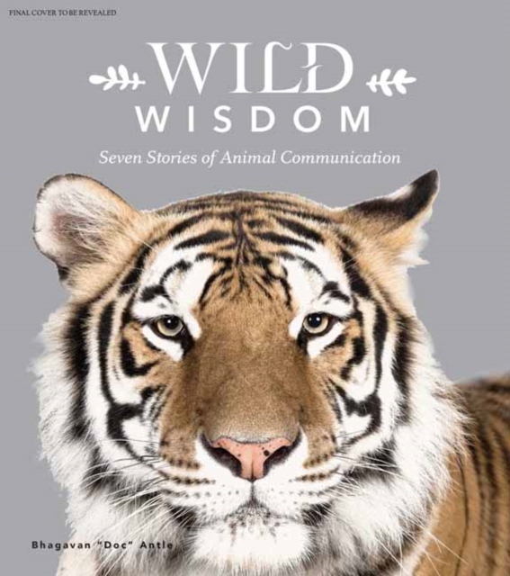 Wild Wisdom : Seven Stories of Animal Communication, Hardback Book