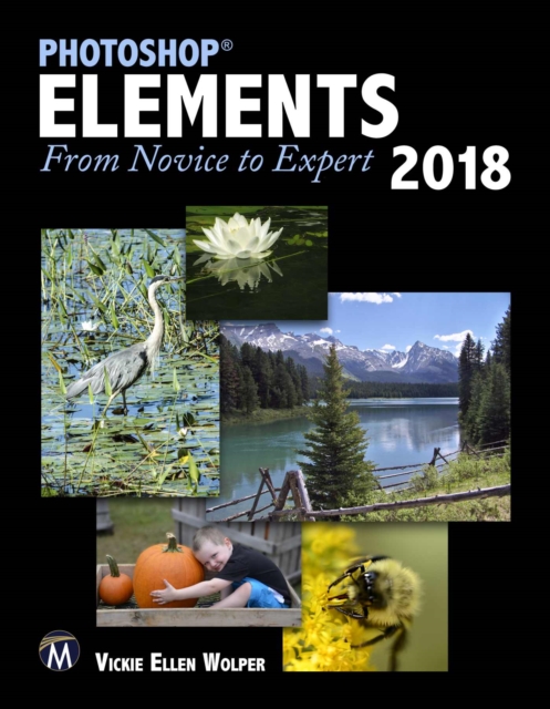 Photoshop Elements 2018 : From Novice to Expert, PDF eBook