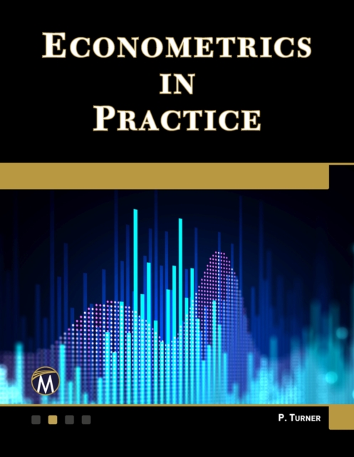 Econometrics in Practice, Hardback Book