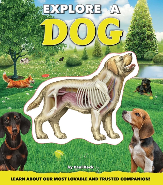 Explore a Dog, Hardback Book