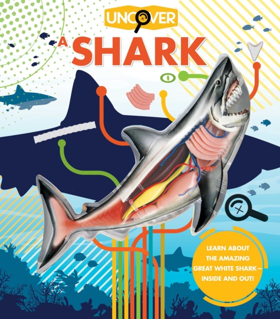 Uncover a Shark, Hardback Book