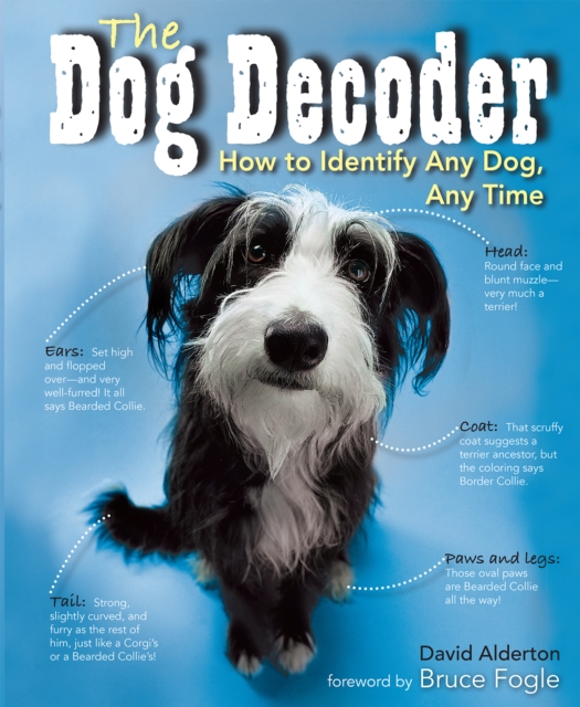 The Dog Decoder : How to Identify Any Dog, Any Time, PDF eBook