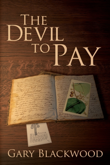 The Devil To Pay, Paperback / softback Book