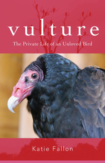 Vulture - The Private Life of an Unloved Bird, Paperback / softback Book