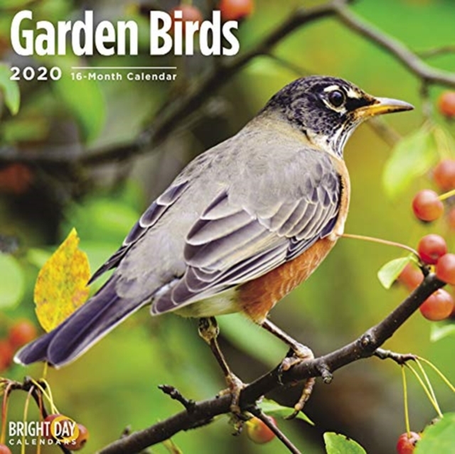 GARDEN BIRDS WALL CALENDAR 2020,  Book