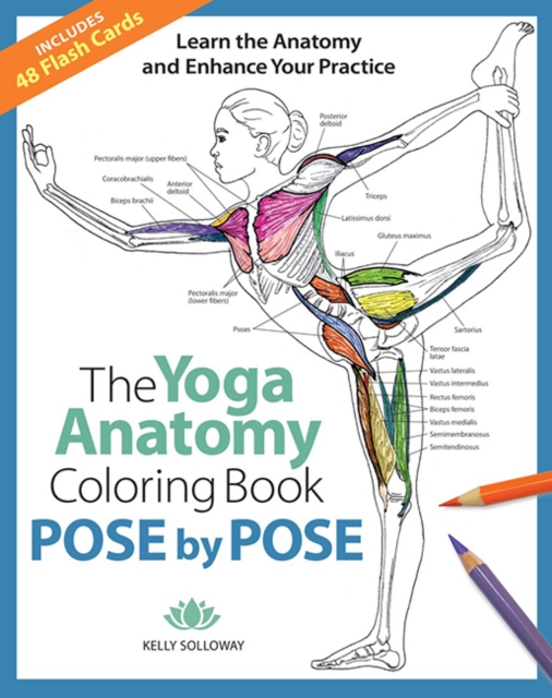 Pose by Pose : Learn the Anatomy and Enhance Your Practice, Paperback / softback Book