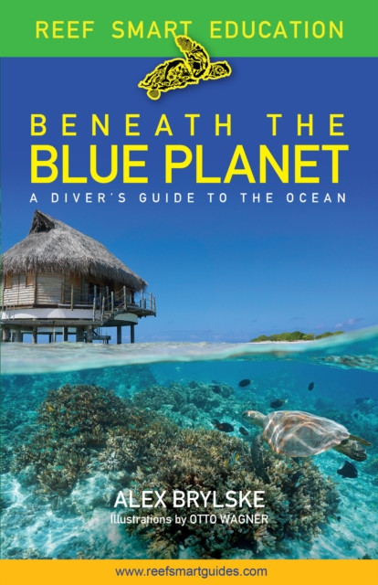Beneath the Blue Planet : A Diver’s Guide to the Ocean and Its Conservation (Adult nature book and travel gift), Paperback / softback Book