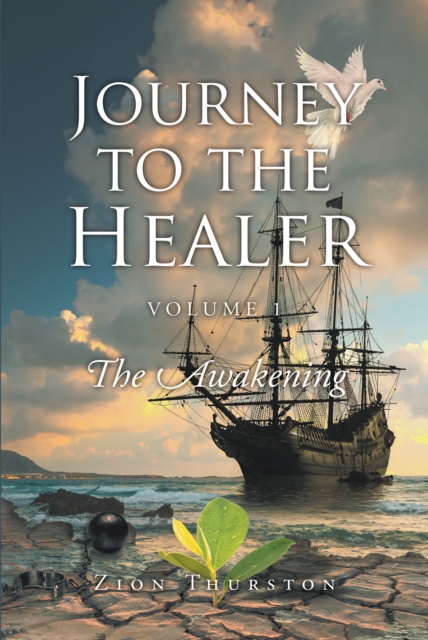Journey to the Healer : Volume 1: The Awakening, EPUB eBook