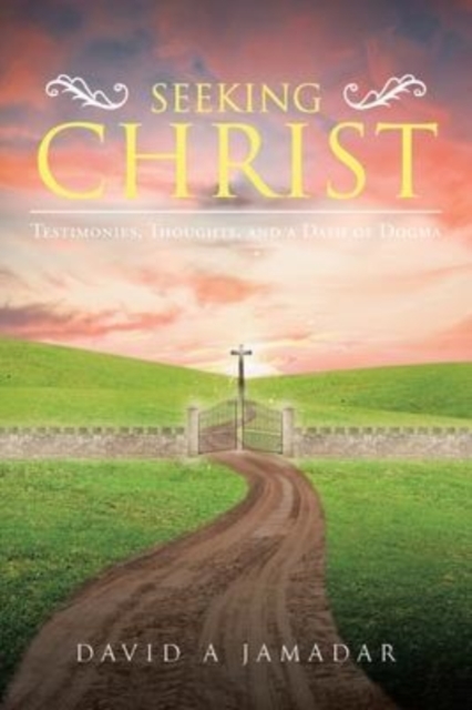 Seeking Christ : Testimonies, Thoughts, and a Dash of Dogma, Paperback / softback Book