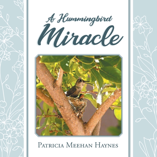 A Hummingbird Miracle, Paperback / softback Book