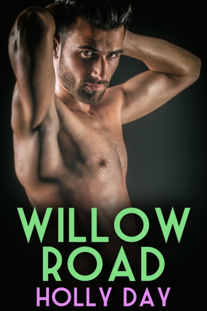 Willow Road, EPUB eBook