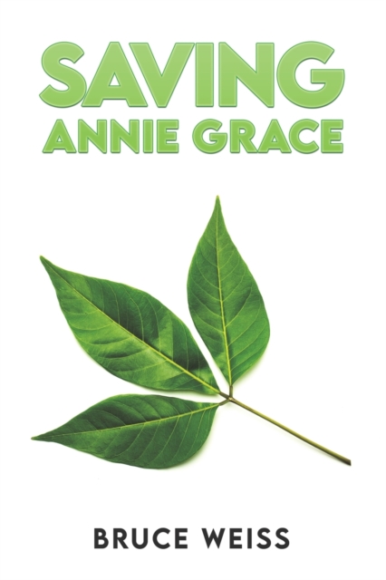 Saving Annie Grace, Paperback Book
