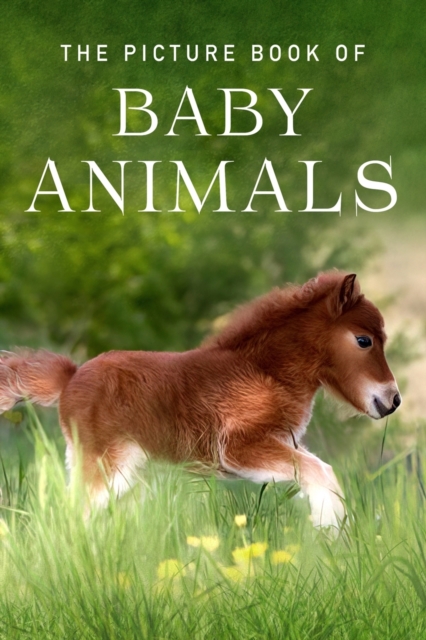 The Picture Book of Baby Animals : A Gift Book for Alzheimer's Patients and Seniors with Dementia, Paperback / softback Book
