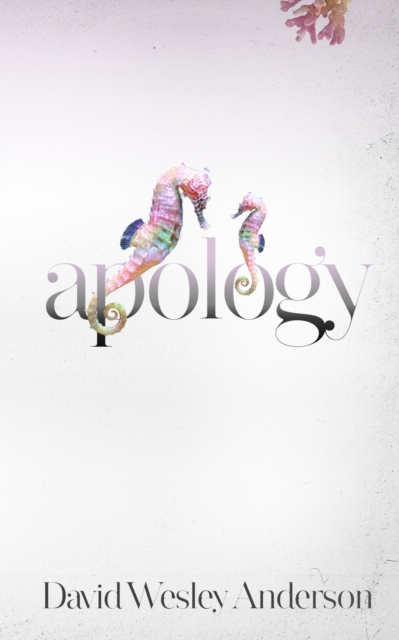 Apology, Paperback / softback Book