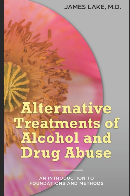 Alternative Treatments of Alcohol and Drug Abuse : Safe, effective and affordable approaches and how to use them, Paperback / softback Book