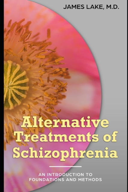 Alternative Treatments of Schizophrenia : Safe, effective and affordable approaches and how to use them, Paperback / softback Book
