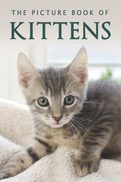 The Picture Book of Kittens : A Gift Book for Alzheimer's Patients or Seniors with Dementia, Paperback / softback Book