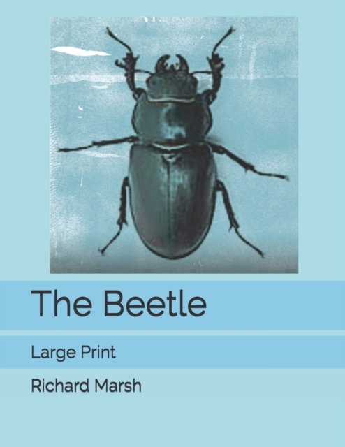 The Beetle : Large Print, Paperback / softback Book