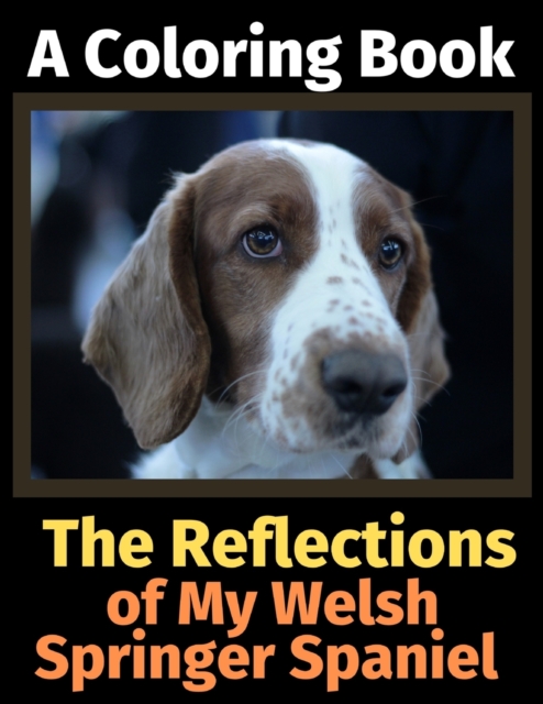 The Reflections of My Welsh Springer Spaniel : A Coloring Book, Paperback / softback Book